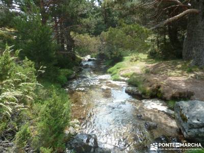 Valle del Lozoya - Camino de la Angostura;fotos senderismo rutas trekking